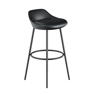 Modern Bar Stool with Backrest