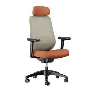 Executive Mesh Chair with Headrest